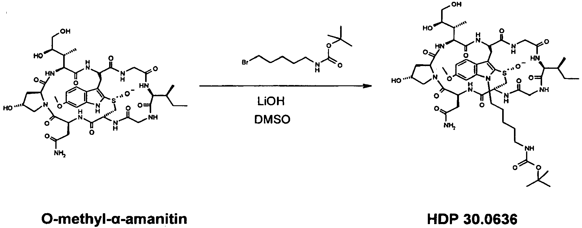 Figure imgb0010