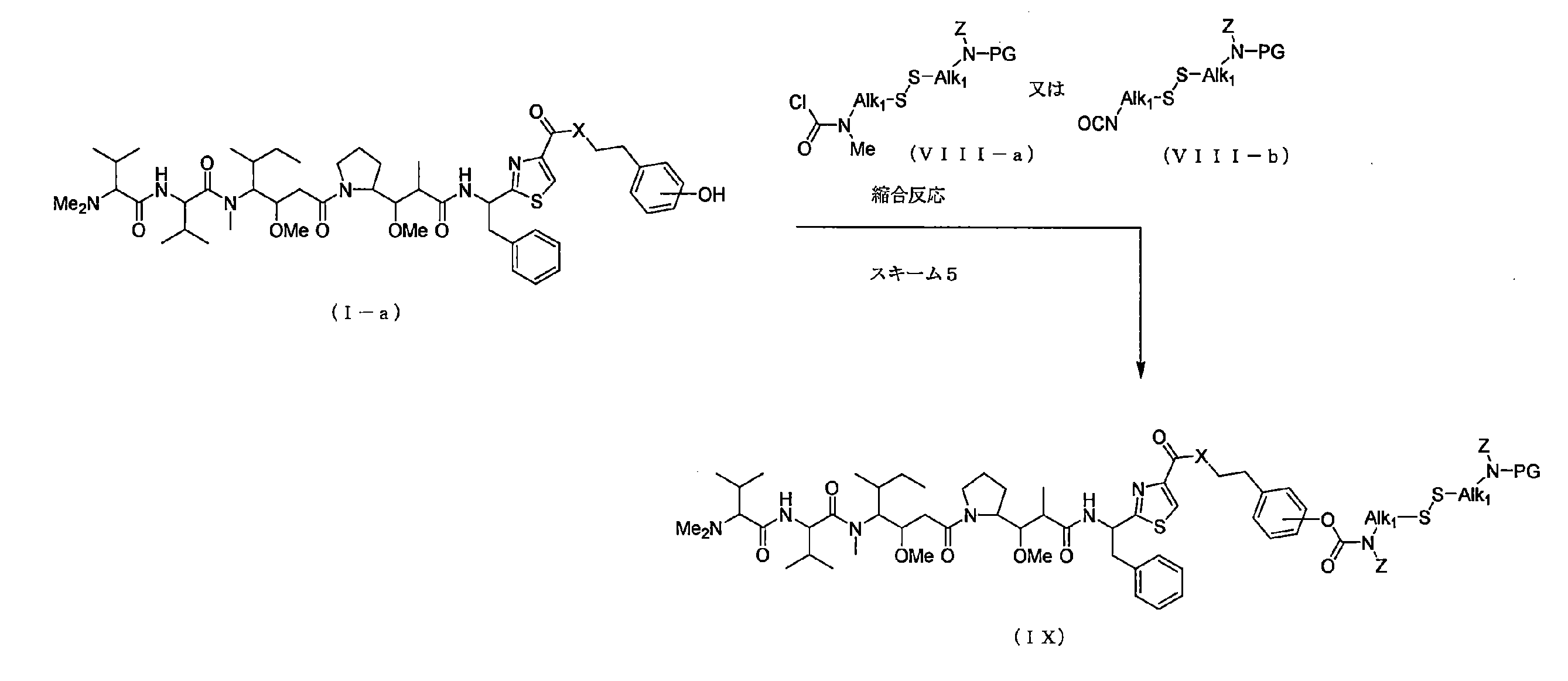 Figure JPOXMLDOC01-appb-C000012