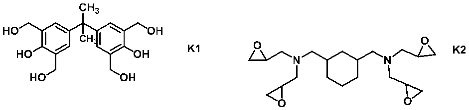 Figure JPOXMLDOC01-appb-C000023