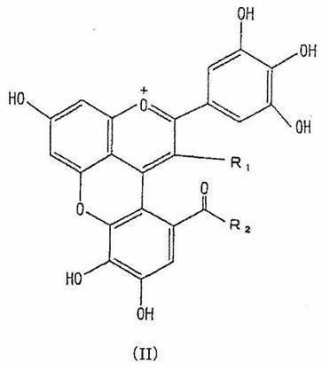 Figure JPOXMLDOC01-appb-C000040