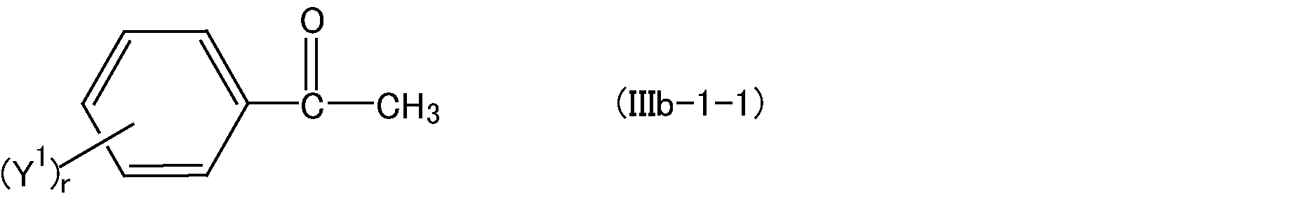 Figure JPOXMLDOC01-appb-C000033