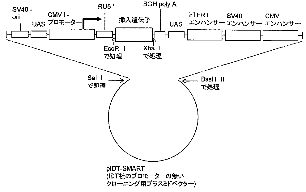 Figure JPOXMLDOC01-appb-I000005
