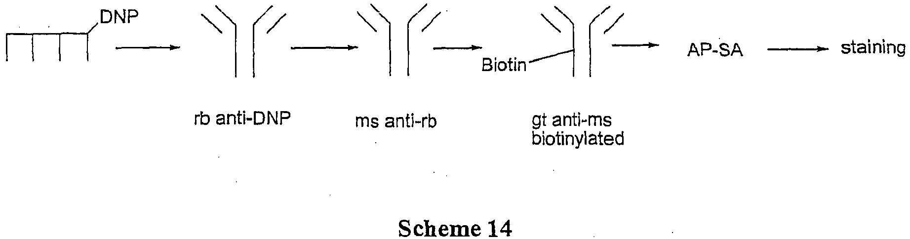 Figure imgb0019