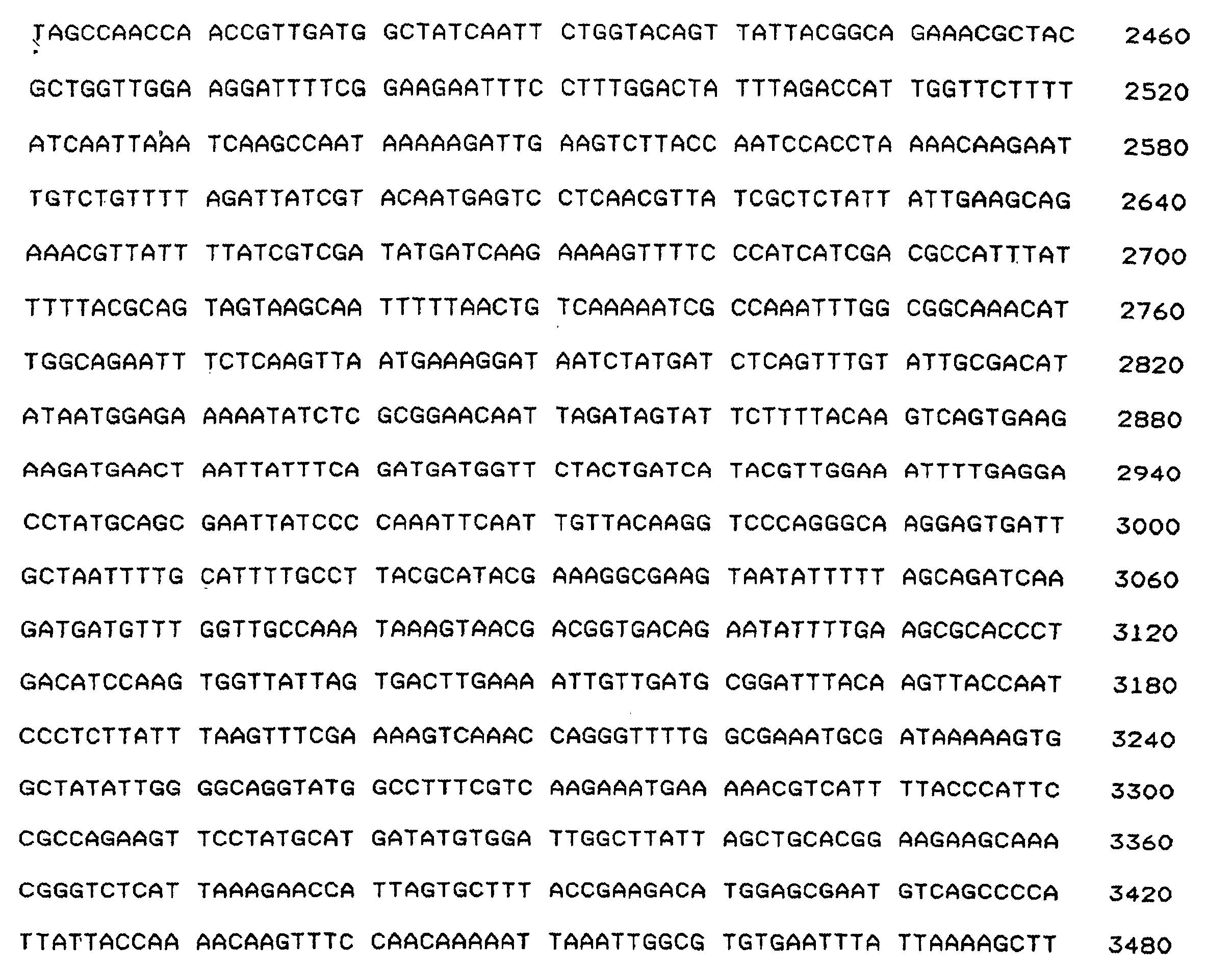 Figure 00510001
