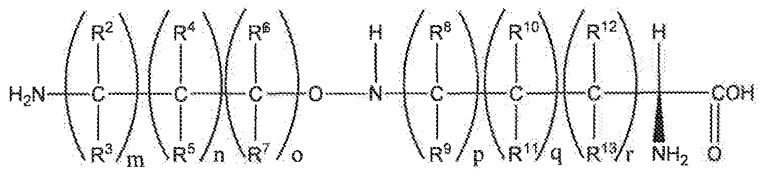Figure imgf000009_0002