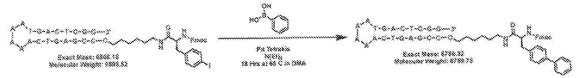 Figure imgf000022_0002