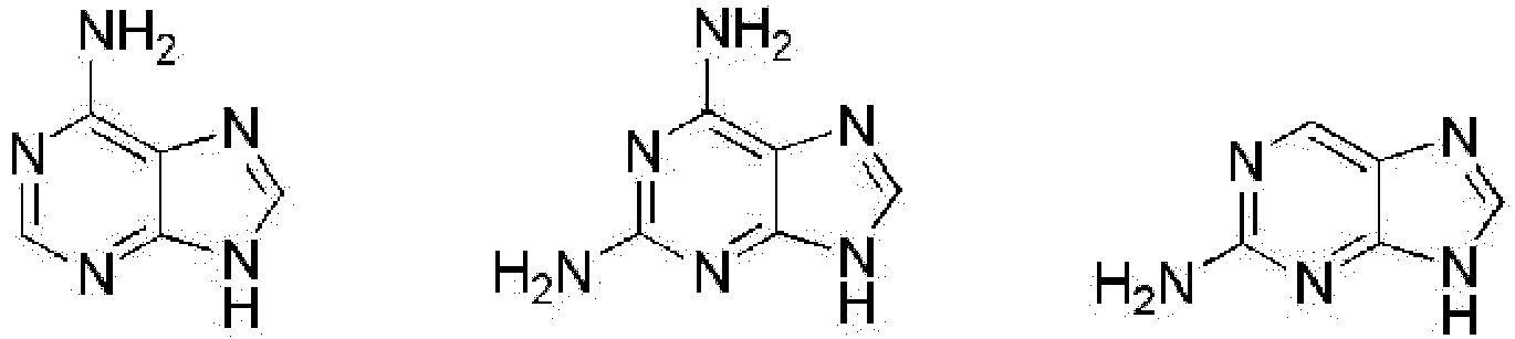 Figure imgb0010