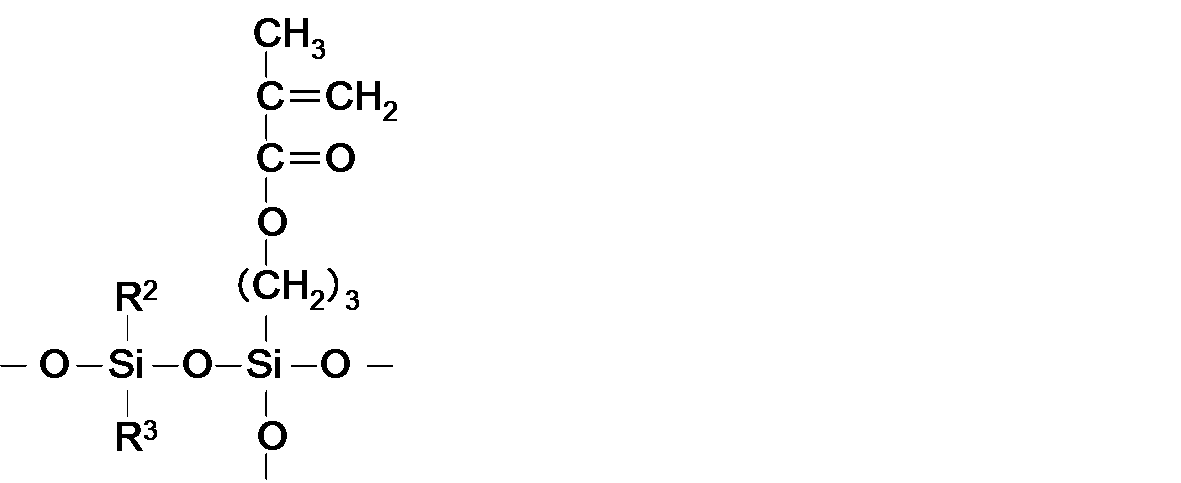 Figure JPOXMLDOC01-appb-C000013