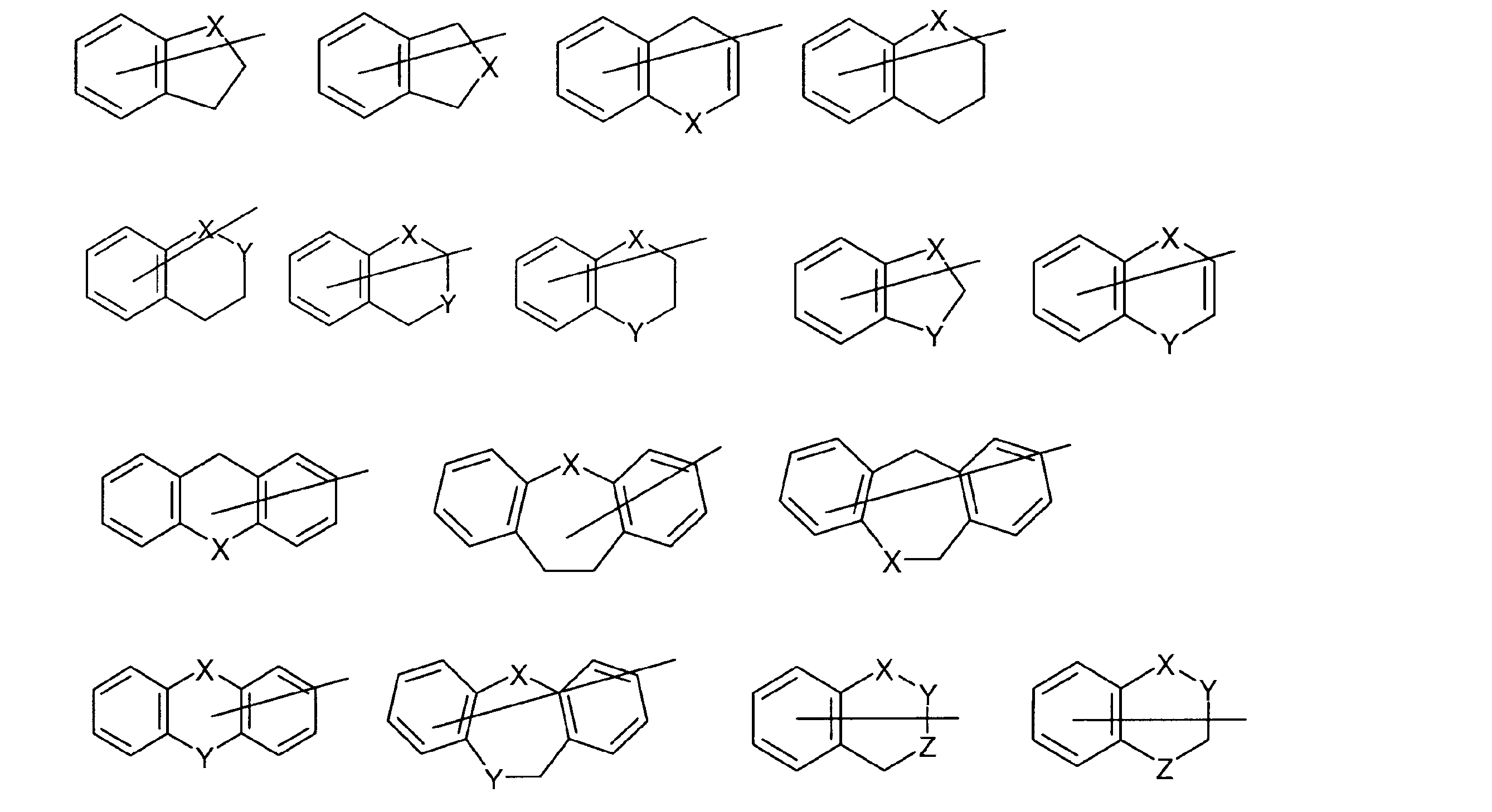 Figure JPOXMLDOC01-appb-C000013