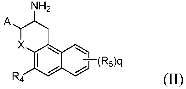 Figure imgb0123