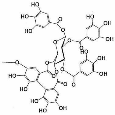 Figure JPOXMLDOC01-appb-C000006