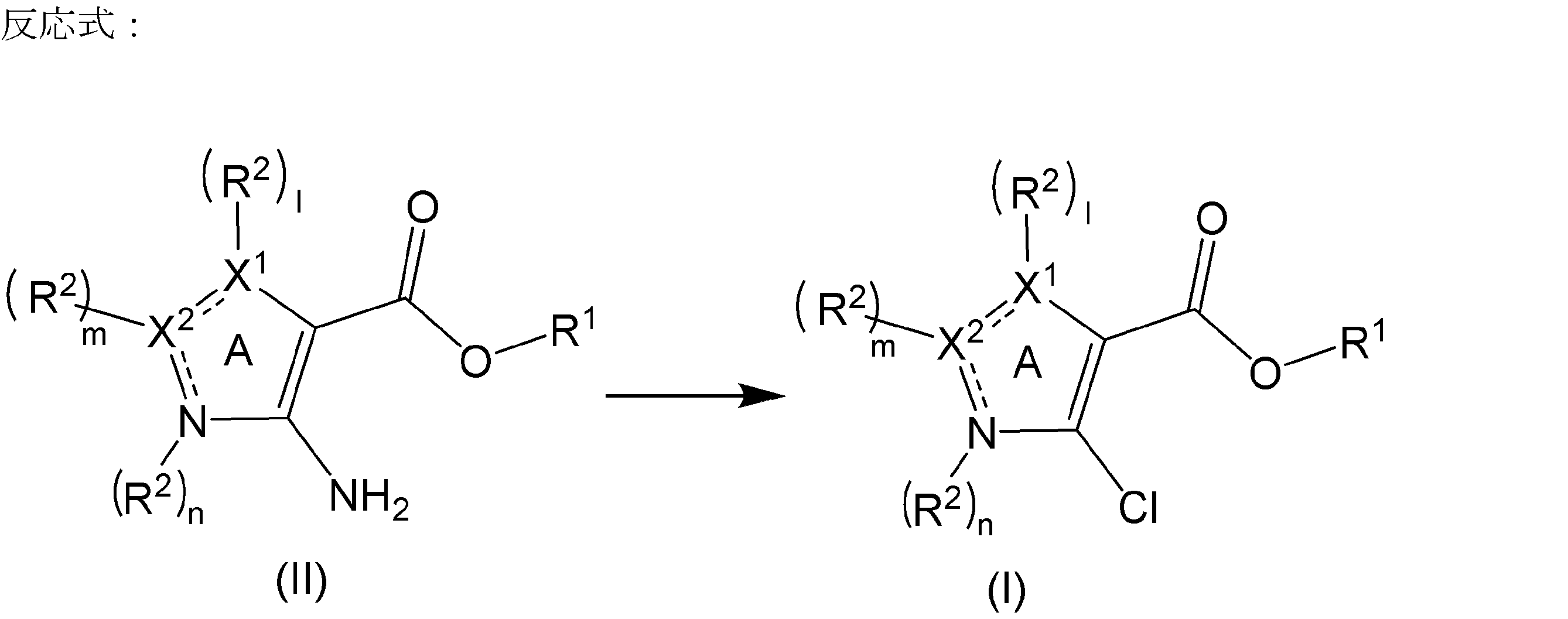 Figure JPOXMLDOC01-appb-C000018