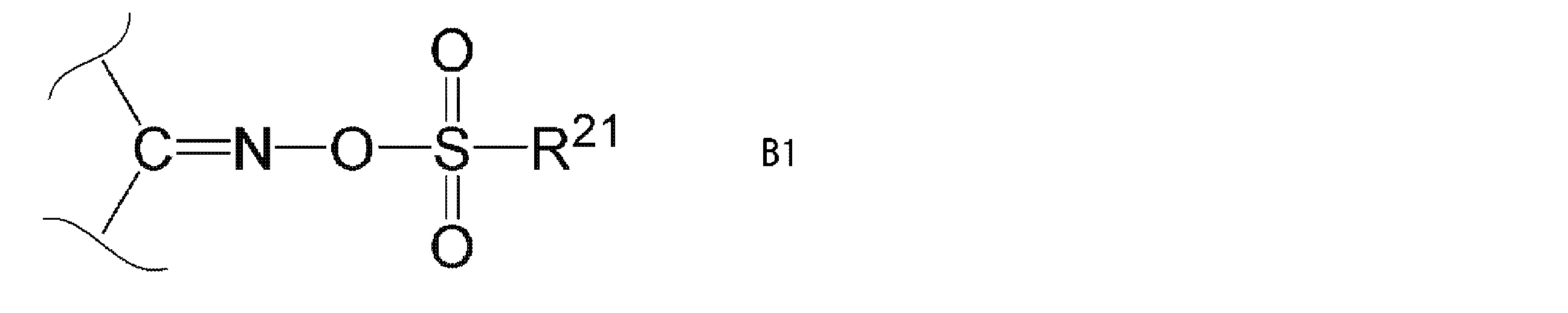 Figure JPOXMLDOC01-appb-C000013