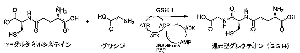 Figure JPOXMLDOC01-appb-C000010