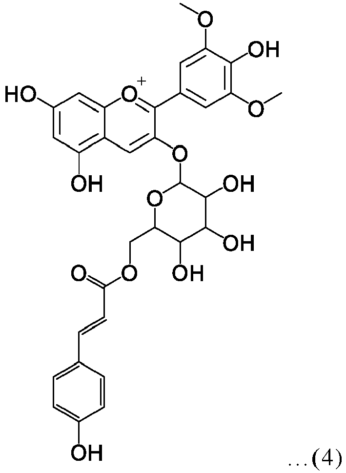 Figure imgb0004