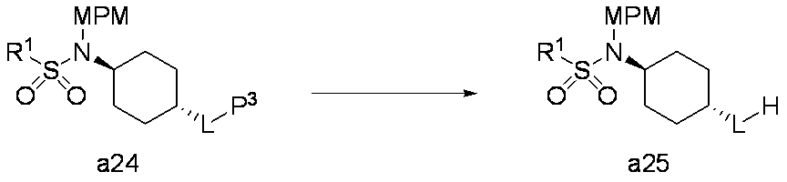 Figure JPOXMLDOC01-appb-C000032