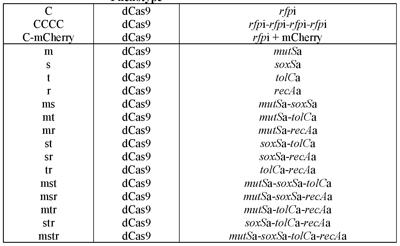 Figure imgf000060_0001