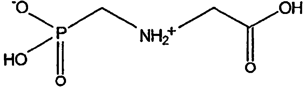 Figure imgf000002_0001