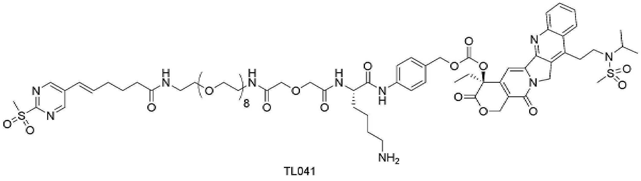 Figure pct01175