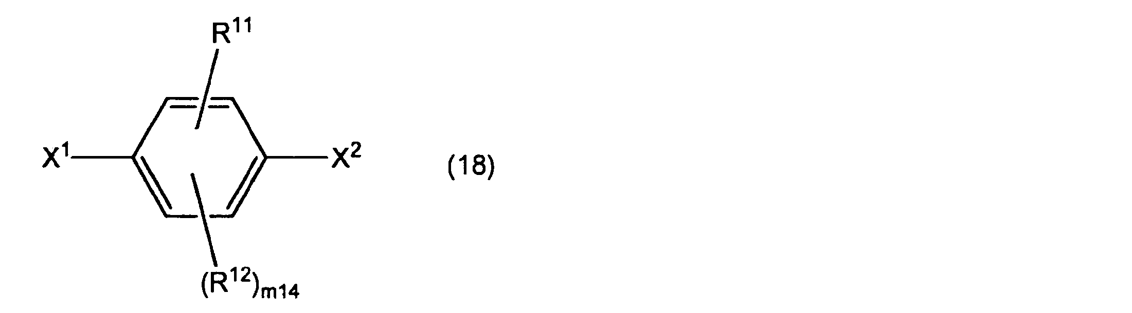 Figure JPOXMLDOC01-appb-C000013