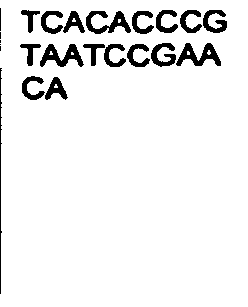 Figure imgb0489