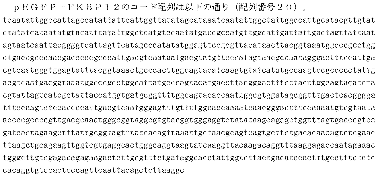 Figure JPOXMLDOC01-appb-C000026
