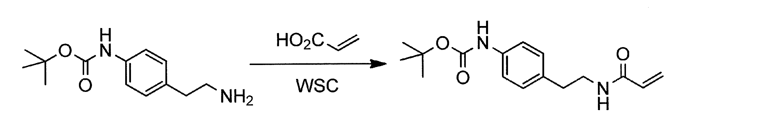 Figure JPOXMLDOC01-appb-C000027