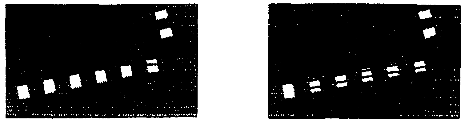 Figure imgf000055_0001