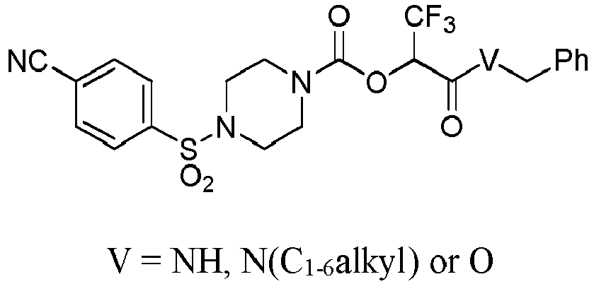 Figure imgb0121
