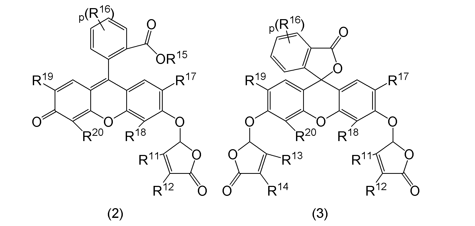 Figure JPOXMLDOC01-appb-C000009