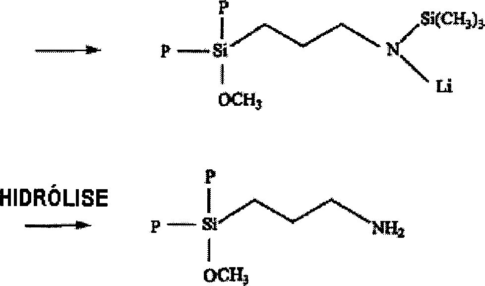 Figure BRPI0809111B1_D0007