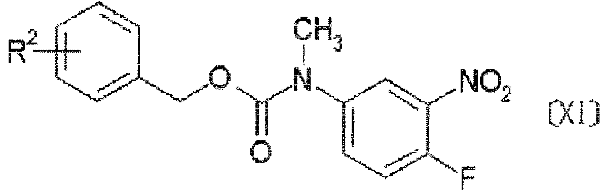 Figure imgf000007_0003