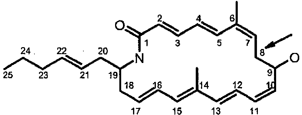 Figure imgb0002