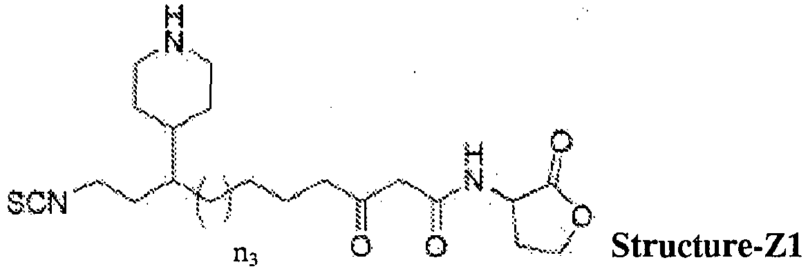 Figure imgb0019