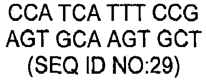Figure imgb0029