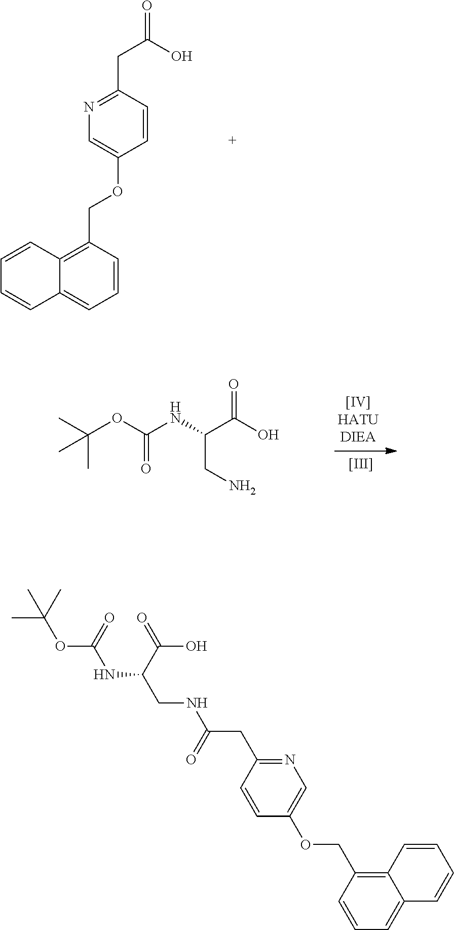 what is glutathione conjugation Glutathione Conjugation!