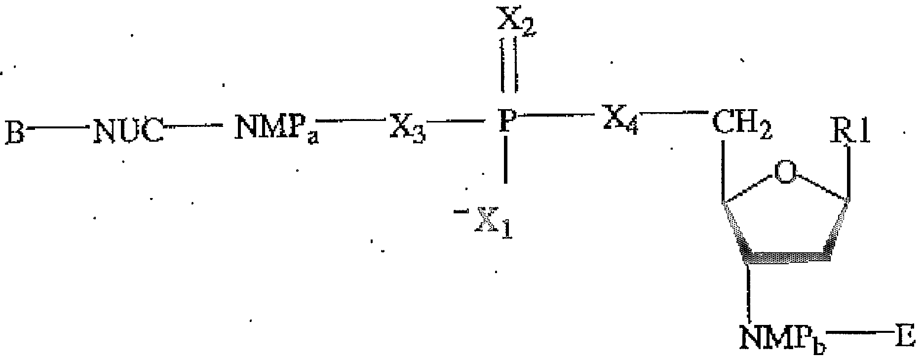 Figure imgf000013_0001