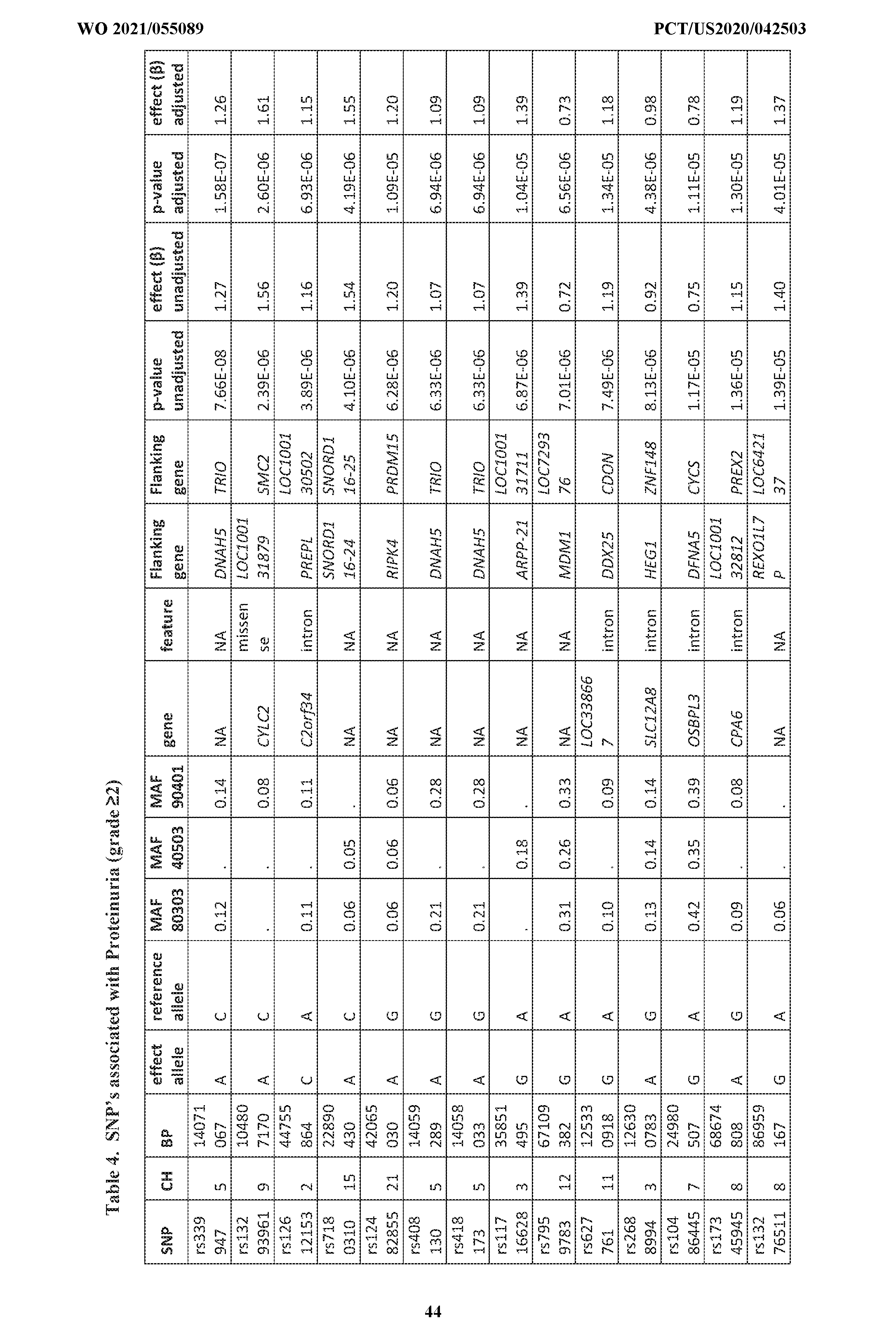 Figure imgf000045_0001