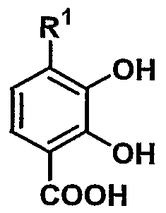 Figure imgf000005_0002