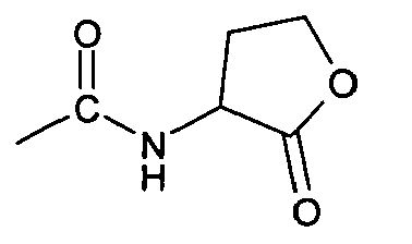 Figure imgb0502