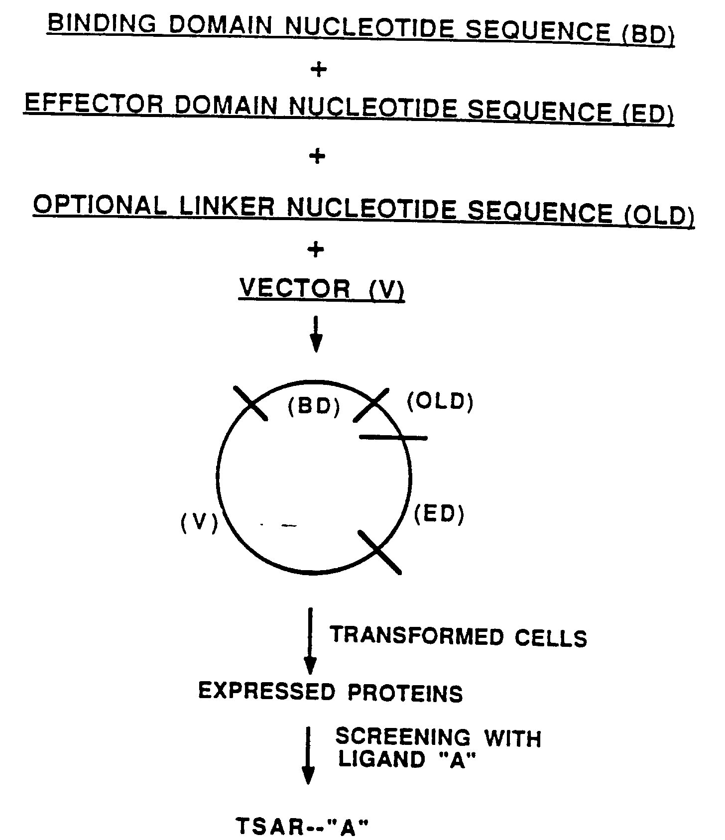 Figure 00020001