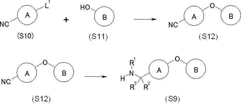Figure JPOXMLDOC01-appb-C000029