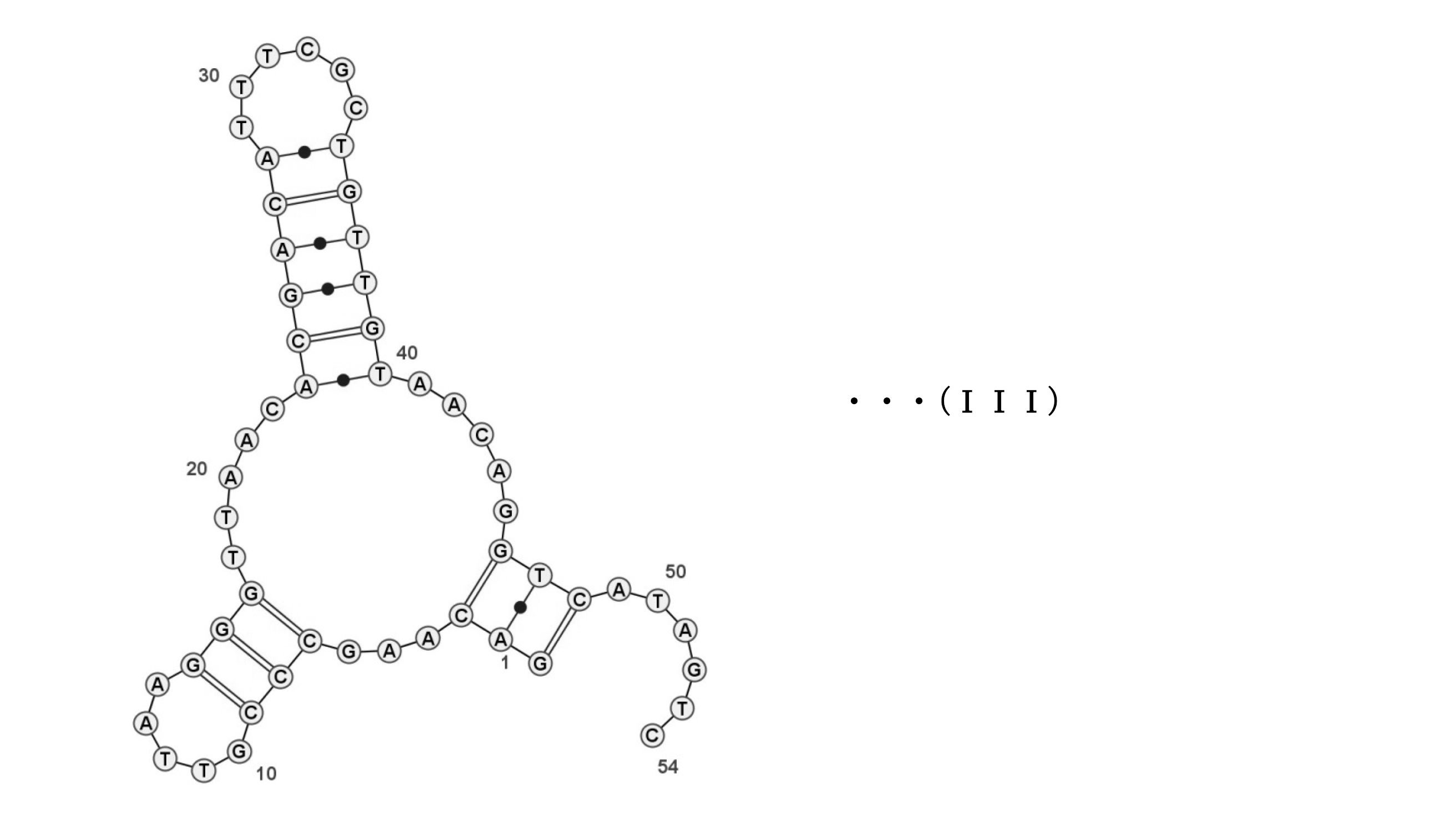 Figure JPOXMLDOC01-appb-C000010