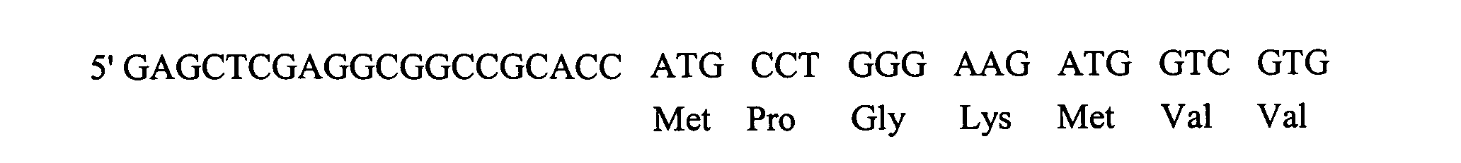 Figure 00200004