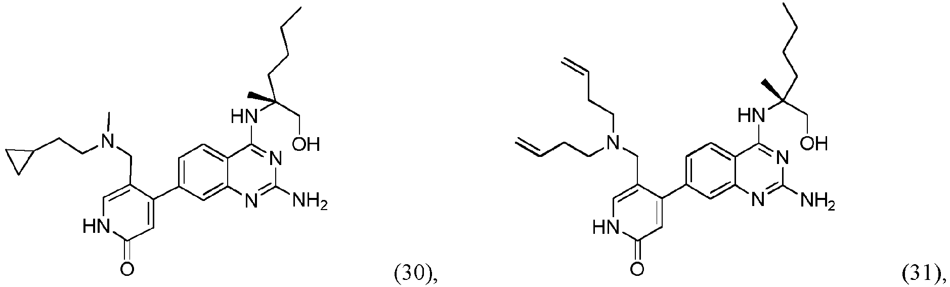 Figure imgb0202