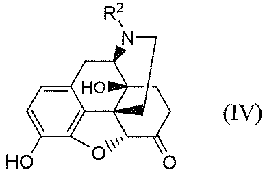 Figure JPOXMLDOC01-appb-C000011