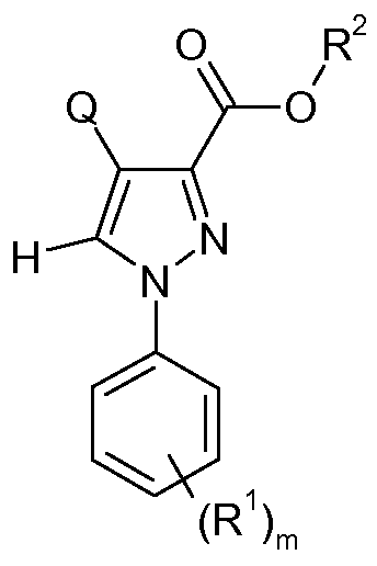 Figure imgf000249_0001