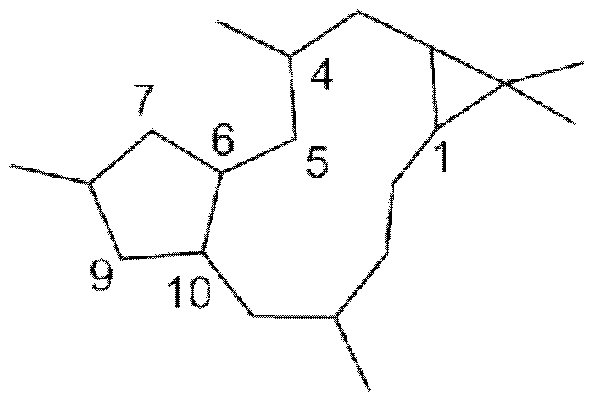Figure imgf000063_0002