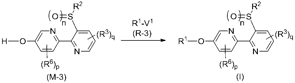 Figure JPOXMLDOC01-appb-C000011