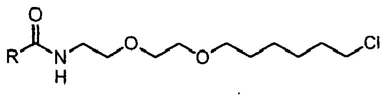 Figure imgb0034